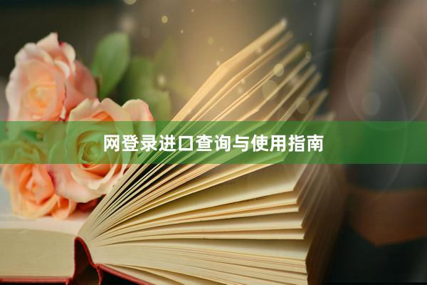 网登录进口查询与使用指南