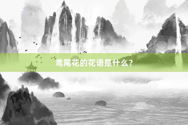 鸢尾花的花语是什么？