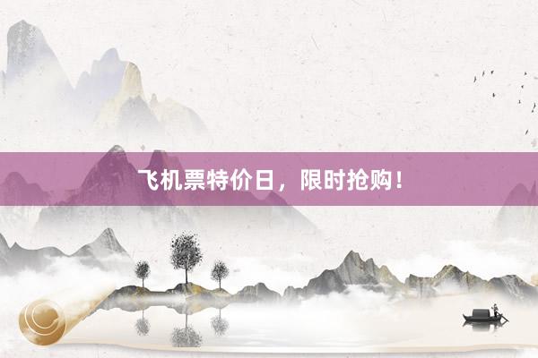 飞机票特价日,限时抢购!