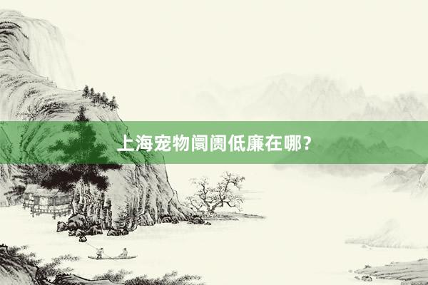 上海宠物阛阓低廉在哪？
