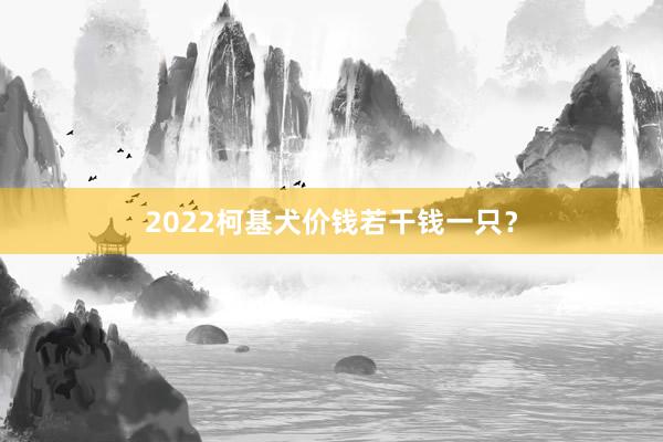 2022柯基犬价钱若干钱一只？