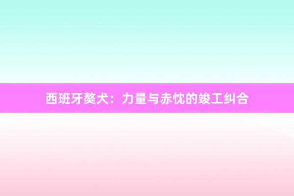西班牙獒犬：力量与赤忱的竣工纠合